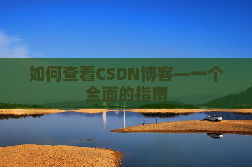 如何查看CSDN博客—一个全面的指南
